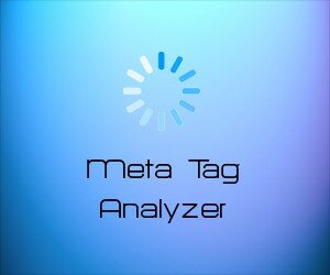 Meta Tag Analyzer